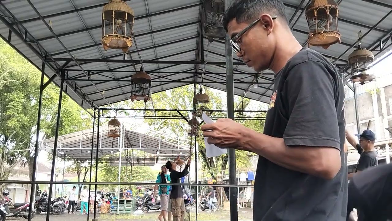 Lomba Perkutut Lokal Di Tlogorejo Jogyalqrts