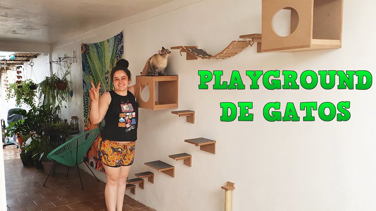 COMPRAMOS UM PLAYGROUND PARA OS GATOS