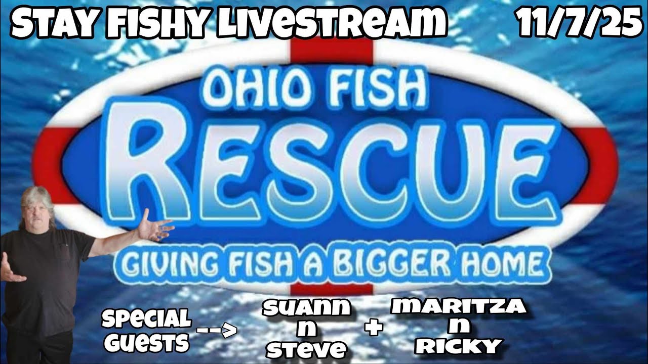 Stay Fishy Friday livestream  11/07/25