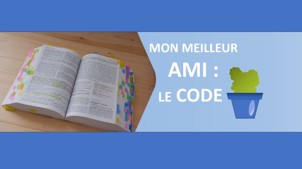 Comment annoter son code ? #1 ledroitsanspépins