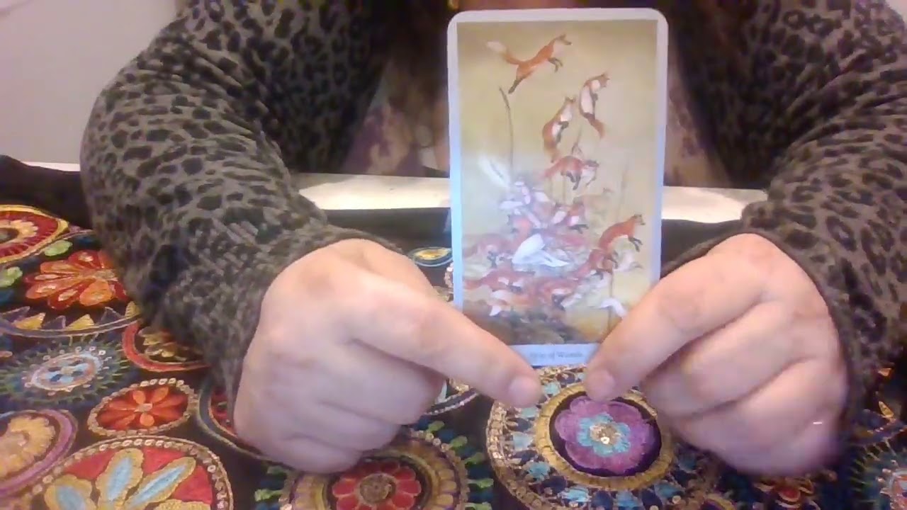 Stepping into Your Divine Design, January 31st, 2026