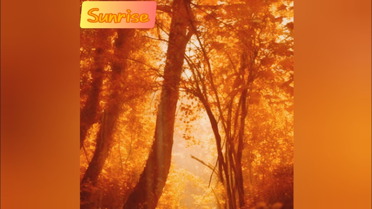 Balleryou - Sunrise