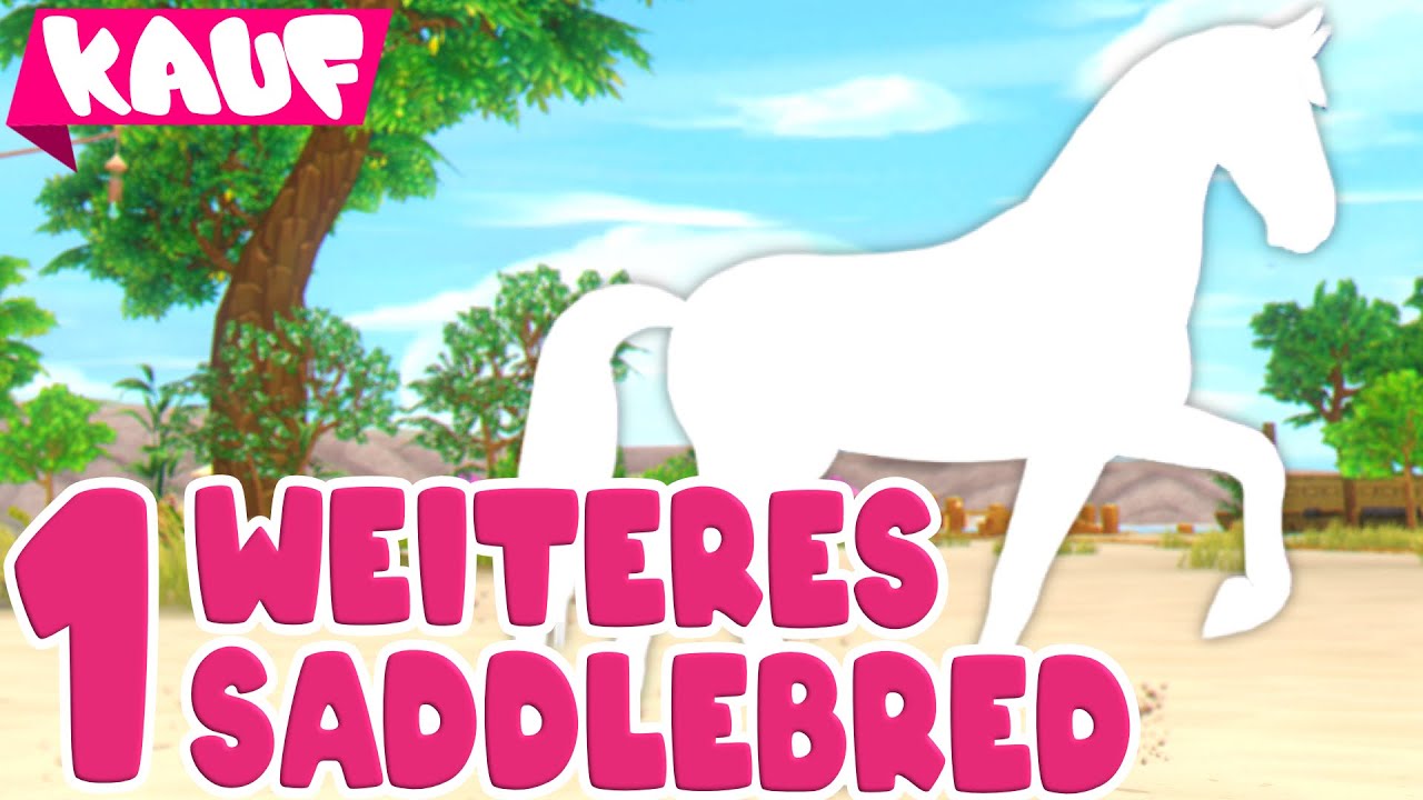 Flash - mein 2. American Saddlebred 🐴 PFERDEKAUF 🐴 Star Stable Online