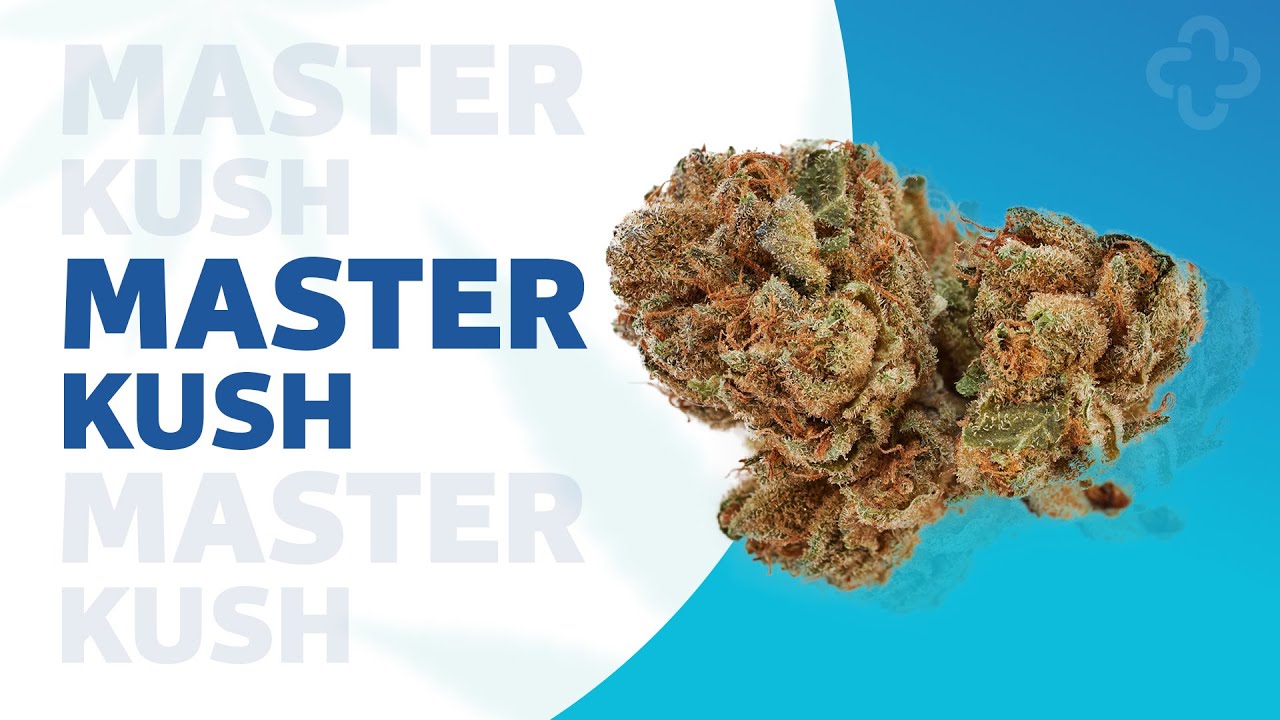 Master Kush Strainview