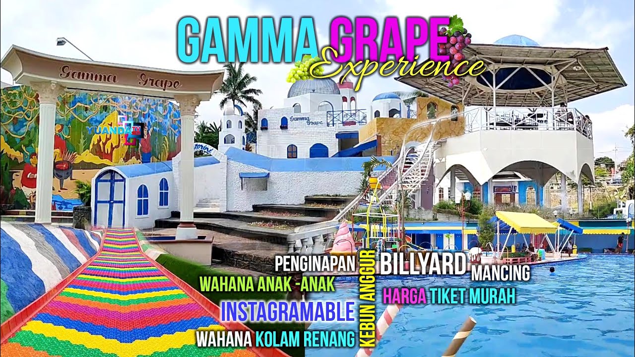 GAMMA GRAPE EXPERIENCE PAKIS MALANG || KEBUN PETIK ANGGUR