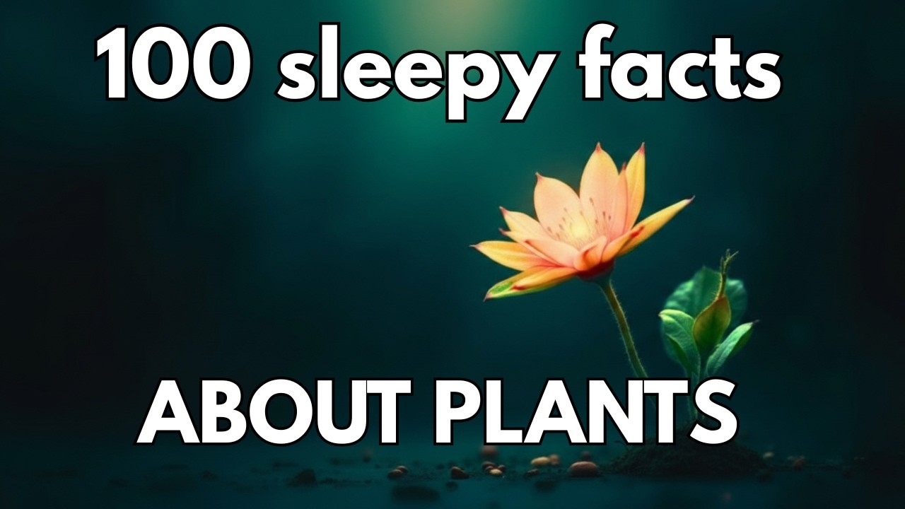 The Most Relaxing Facts About Plants to Fall Asleep To | SLEEP FACTS
