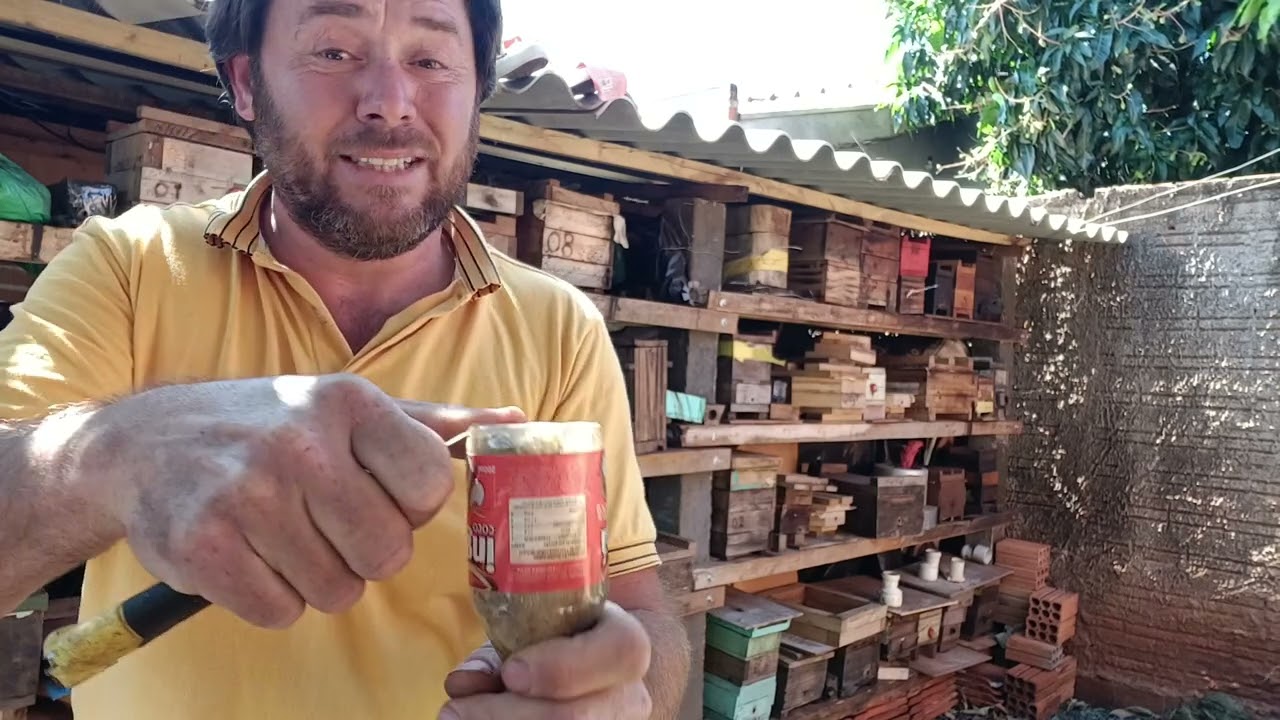 Transferência de abelha lambe olhos 