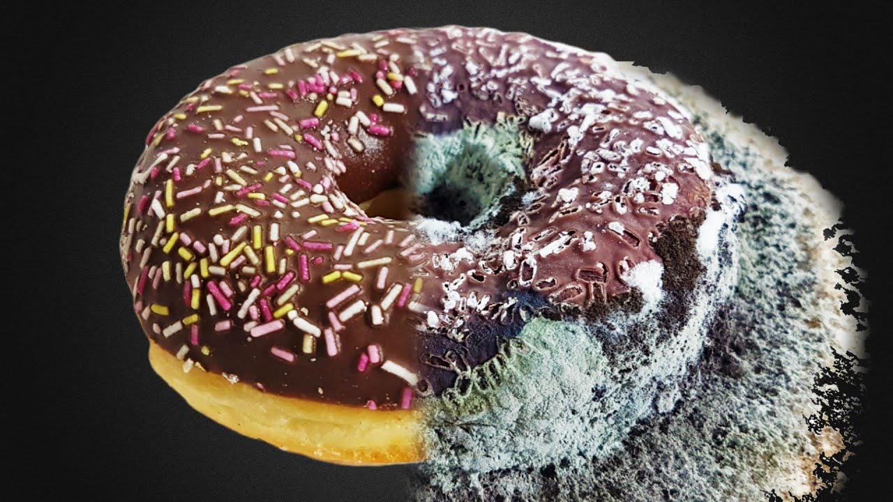 Choco Donut Time Lapse - 45 Days【4K】