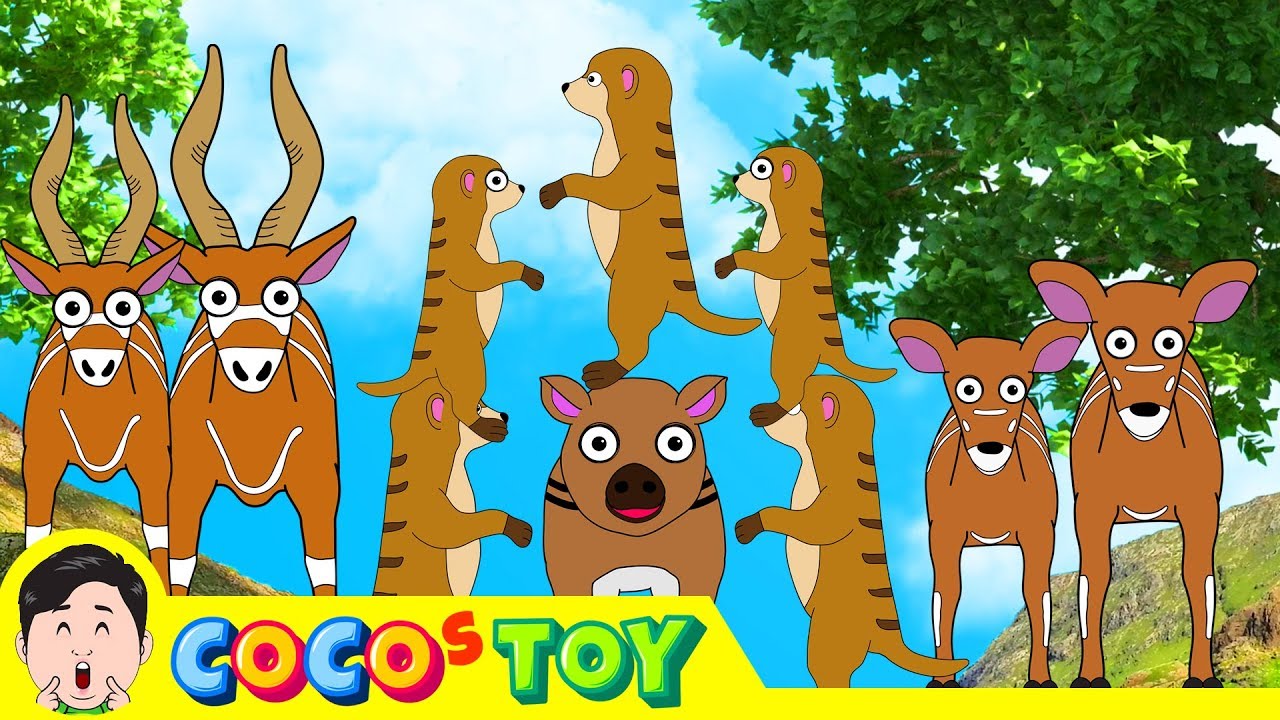 The Bongo family was brave. 1~2ㅣcartoon version, animals stories for kidsㅣCoCosToy
