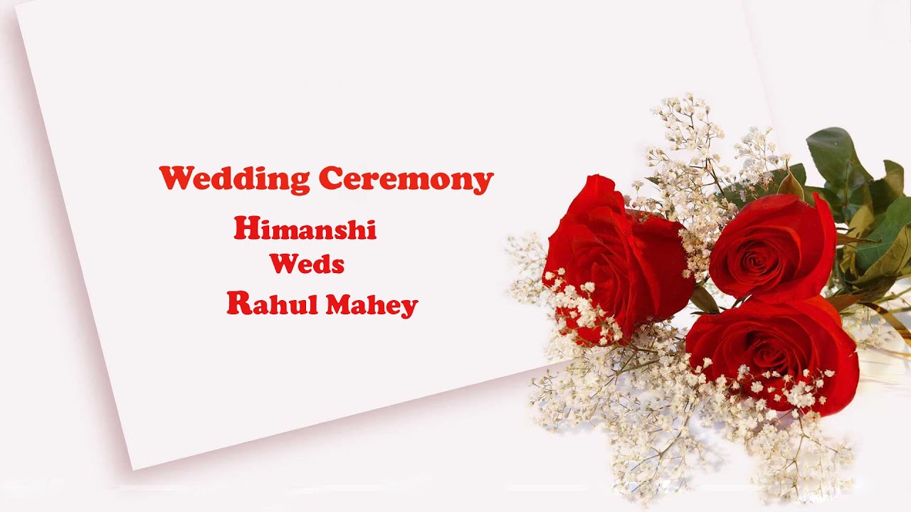 Wedding Ceremony Of Himanshi Weds Rahul Mahey !! New Vishal Photography Mob.98157-26057
