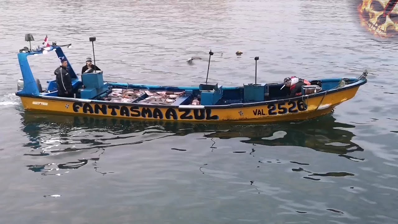 Pescando Calamar gigantes - Quintero Chile (JIBIA)