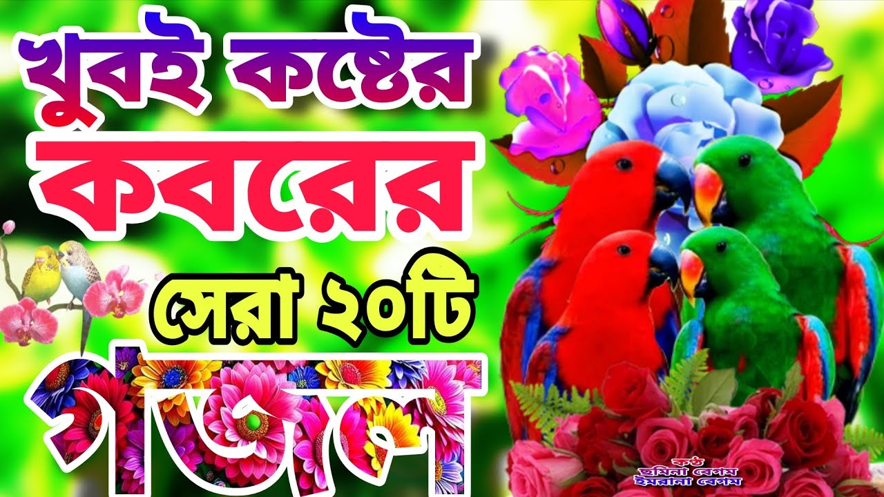 খুবই দুঃখের কবরের শেষ বিদায়ের কষ্টের সেরা মায়াবী কন্ঠে মন জুড়ানো ২০টি গজল।গুনার বুঝা মাতায় লইয়া 