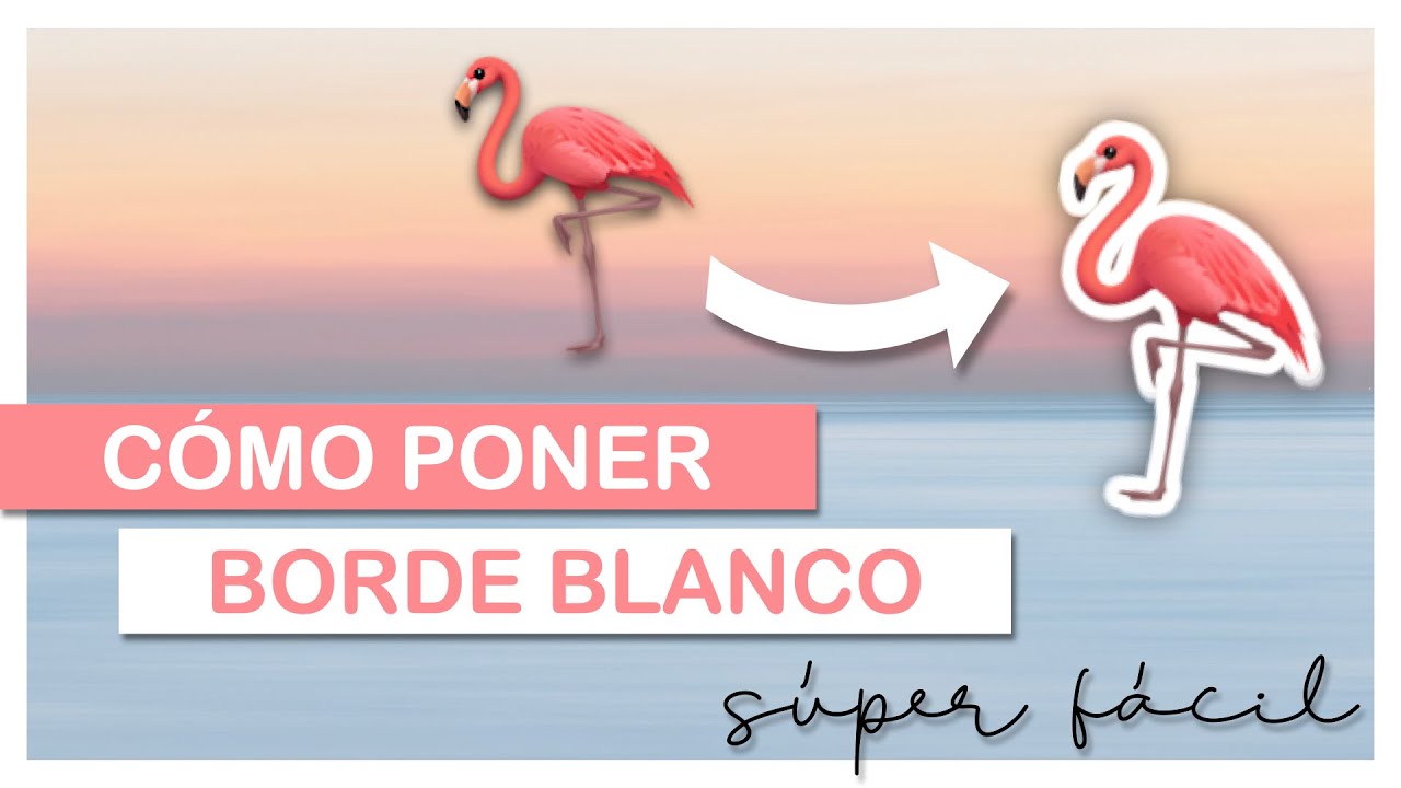 Cómo poner BORDE BLANCO en fotos SUPER FACIL 🤩 | Tutorial completo paso a paso EFECTO STICKER ✨
