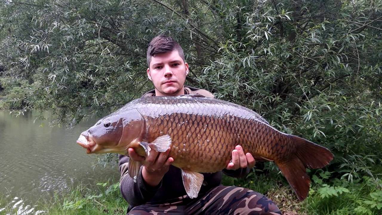 Peche a la carpe Meuse et bras de sambre
