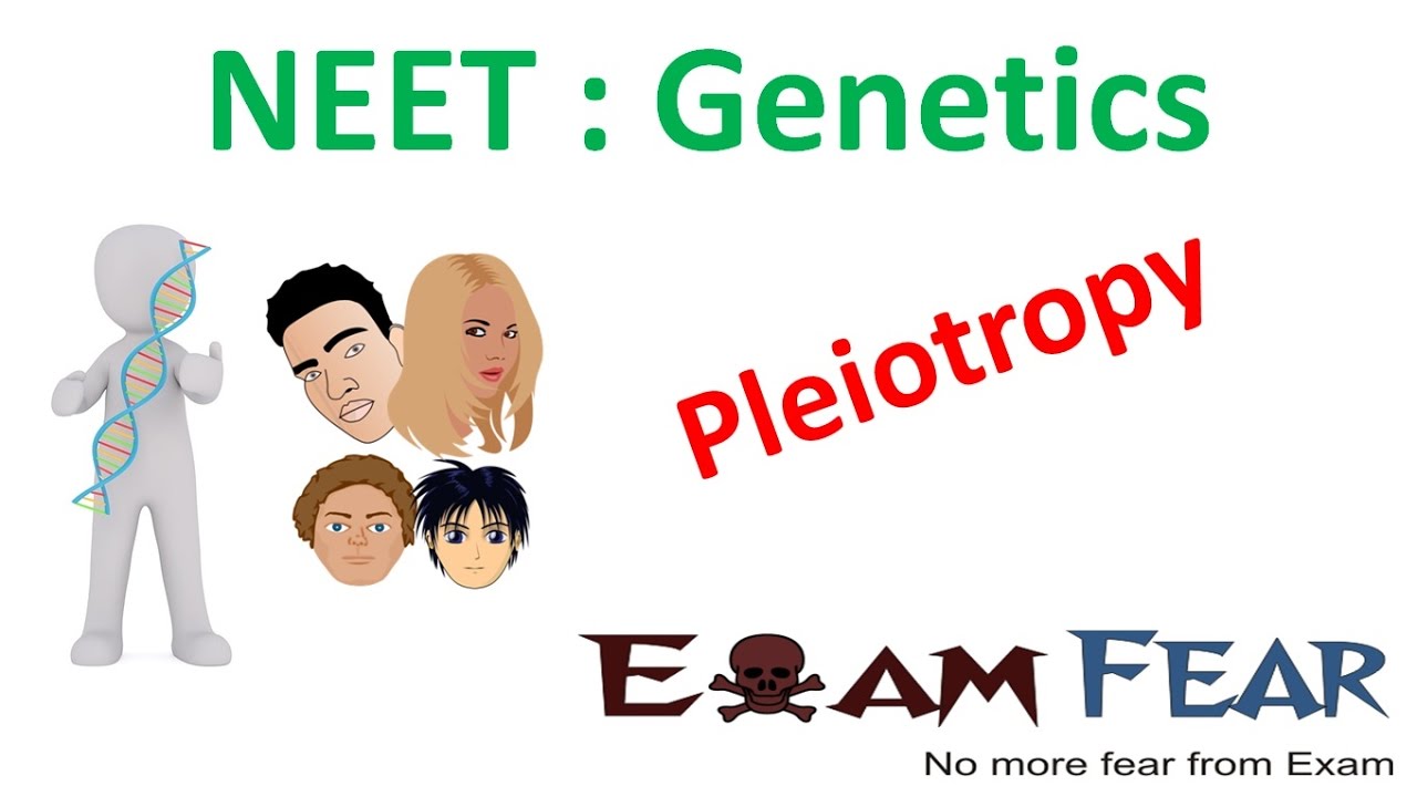 NEET Biology Genetics :  Pleiotropy (Sickle Cell Disease)