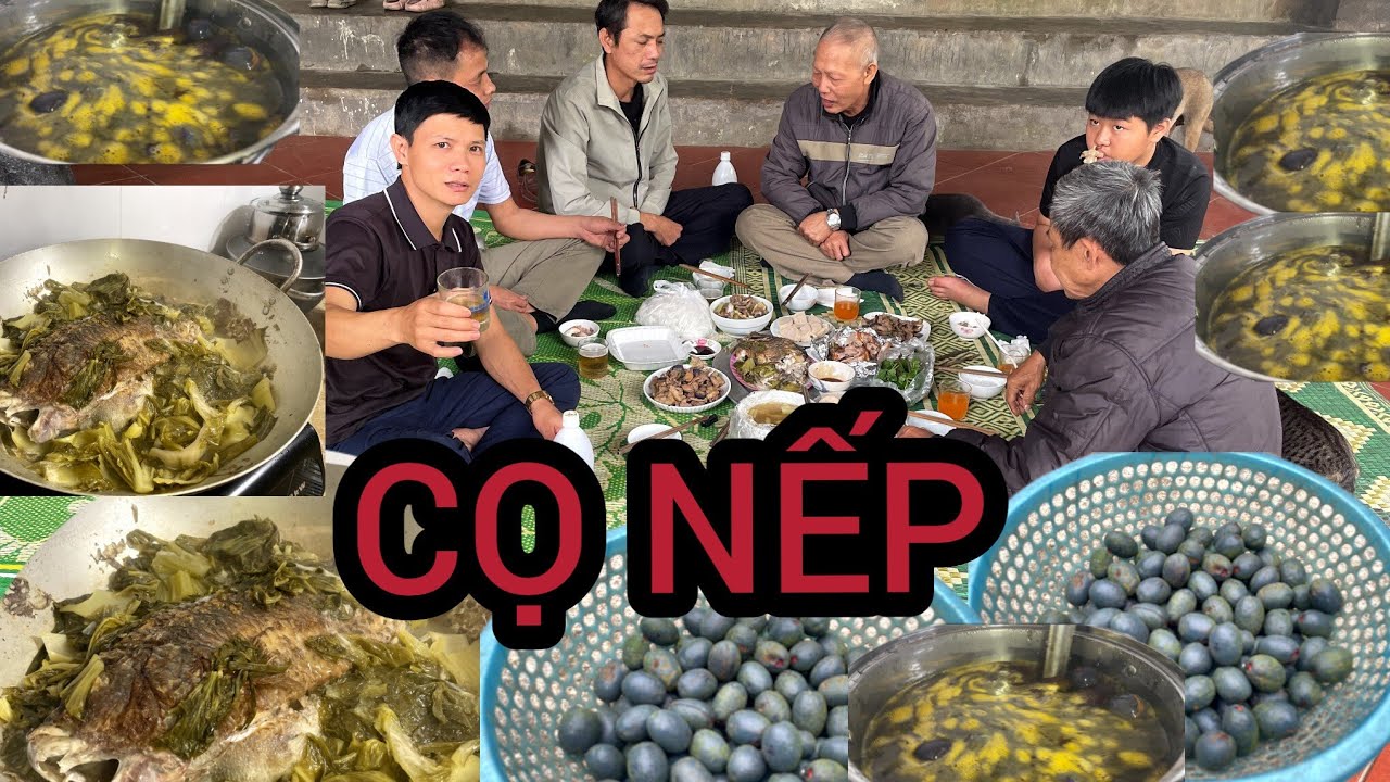 Lên đồi hái Cọ về xào thịt heo - Ngon nhức nách, ai cũng khen 