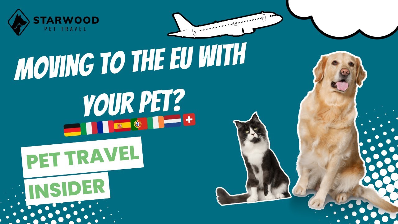 Complete Europe Pet Shipping Guide