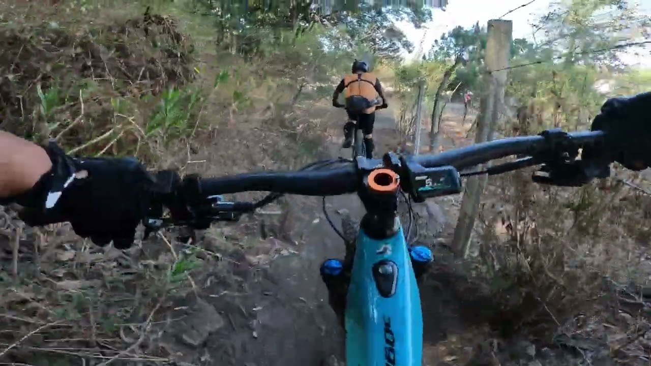 Bosque Primavera en Ebike
