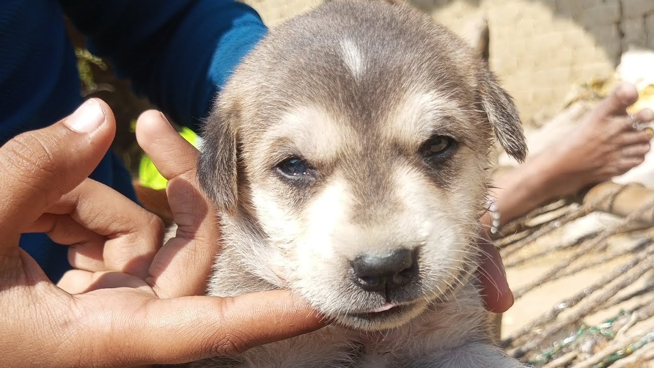 स्वागत है मेरे ब्लॉग में 👍🥰🔥