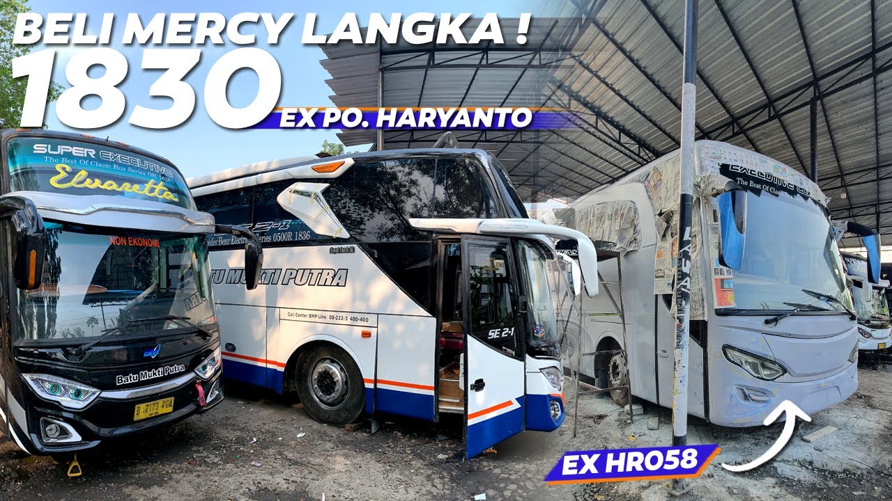 BMP BELI MERCY O500R 1830 DARI PO. HARYANTO 😯🔥🔥