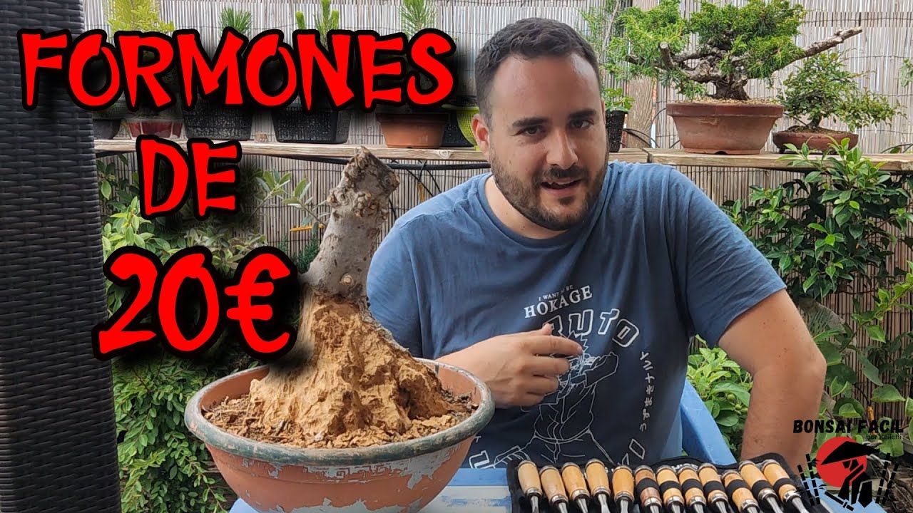 Formones por 15-20€ para hacer maderas muertas