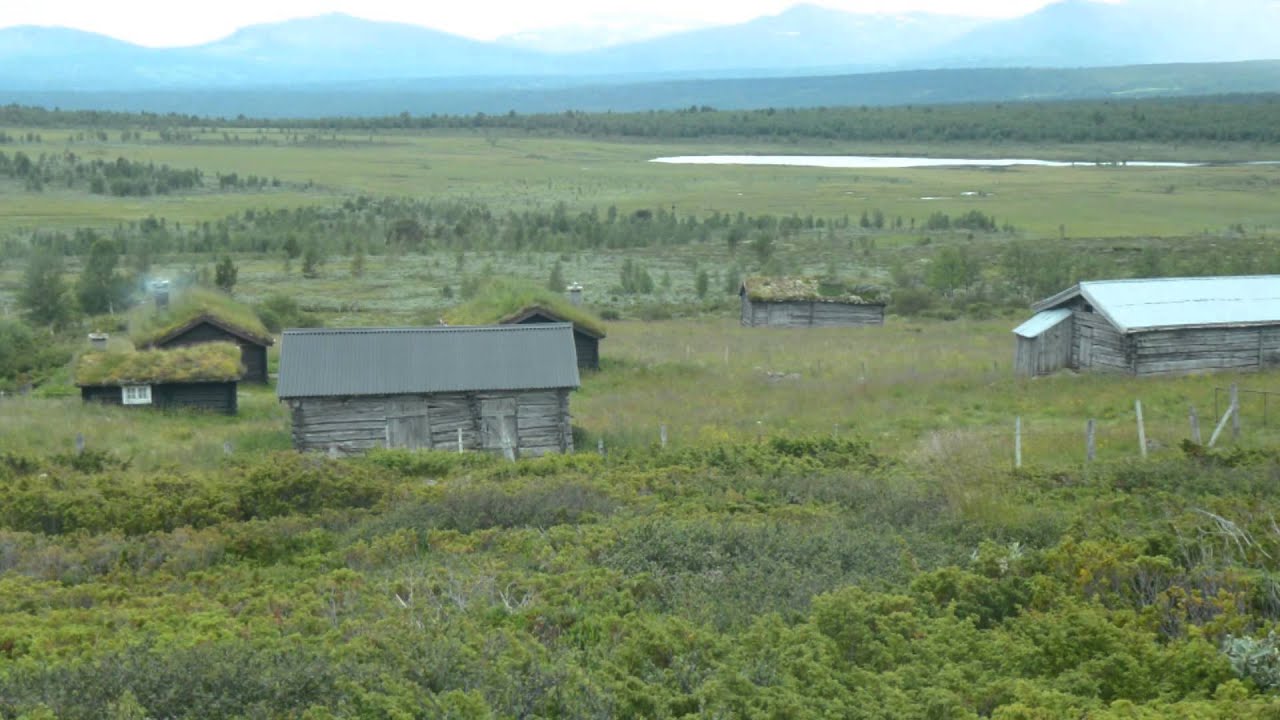 Heidalsfjella