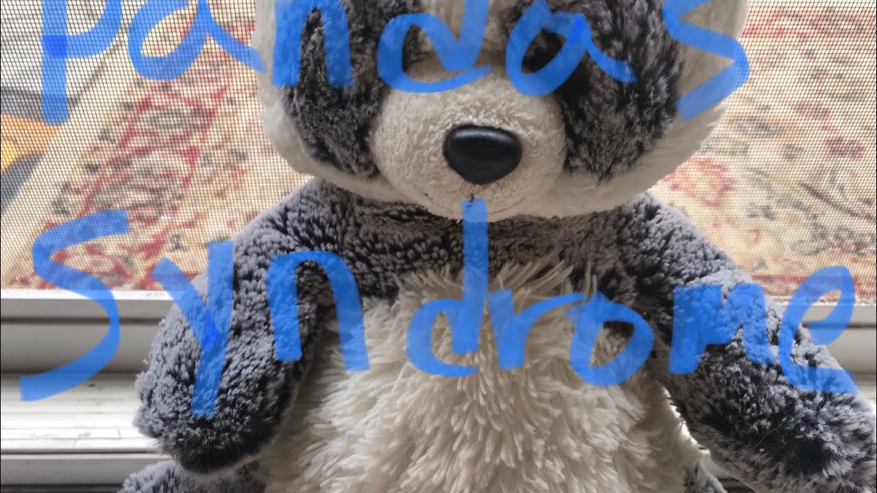 PANDA y PANs obsession compulsivas que tiene mi hija. #Pandasypans