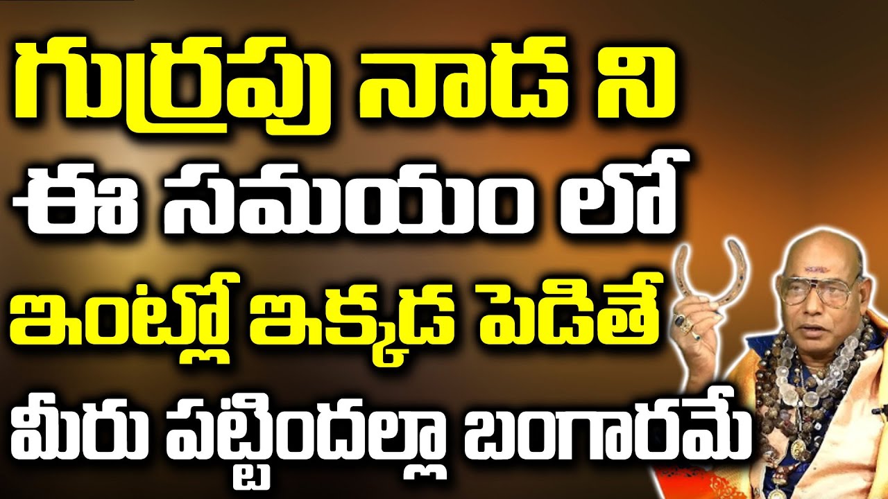 గుర్రపు నాడ వల్ల కలిగే లాభాలు | Gurram Nada Uses In Telugu | Sai Dattananda Swamy | Spiritual Time