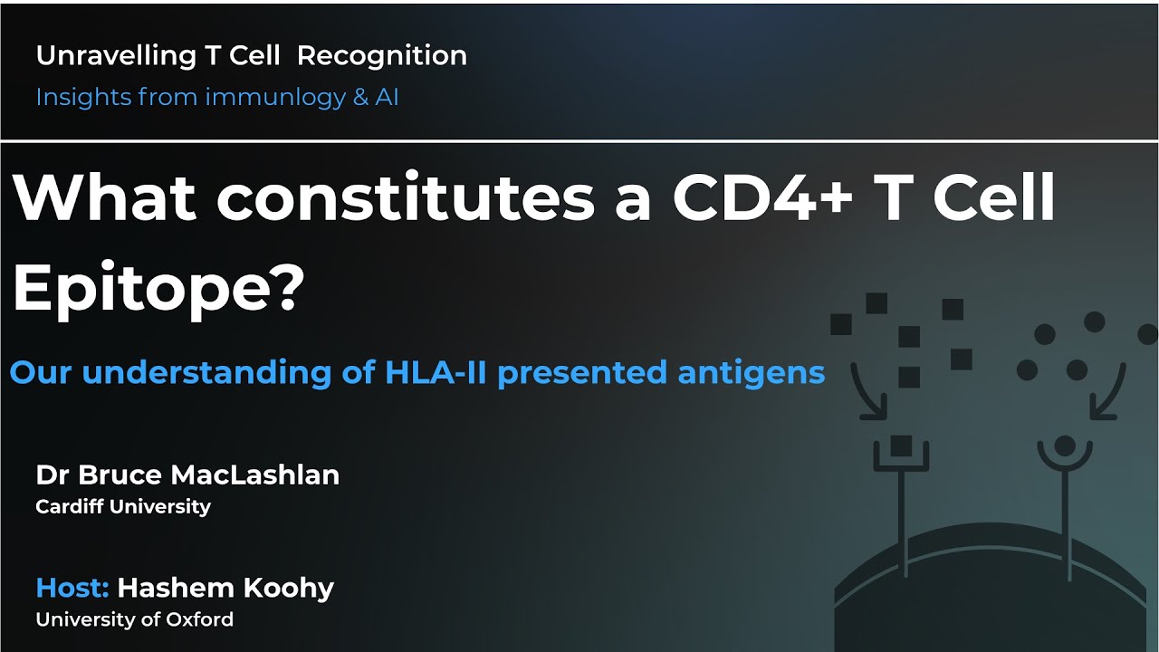What constitutes a CD4+ T-cell epitope? Our understanding of HLA class-II presented antigens