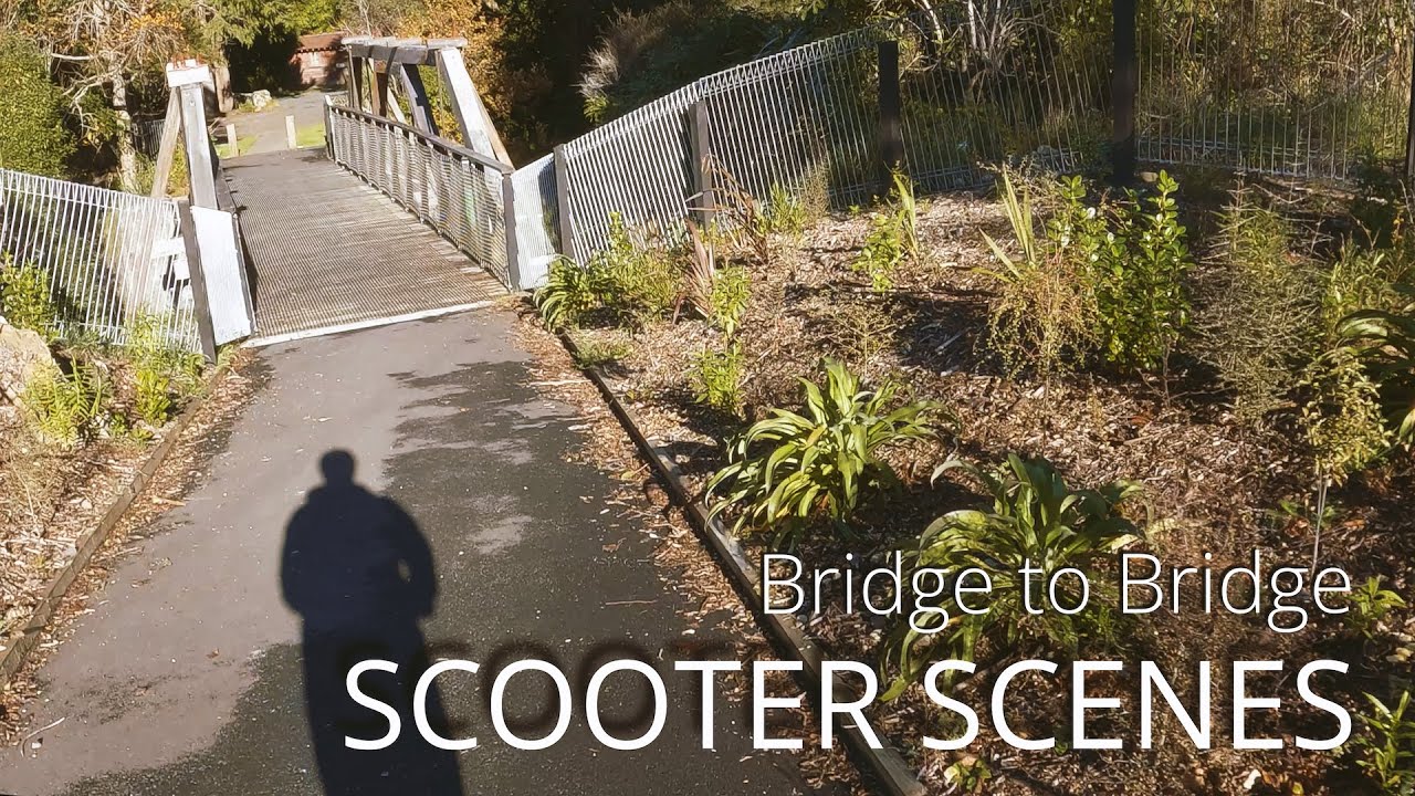 Hutt River Cycle Trail | 15th June 2025 | Wellington, New Zealand