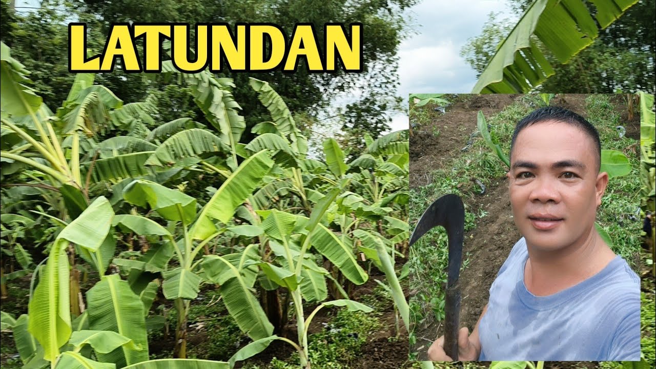 PAGLILINIS SA SAGING NA LATUNDAN