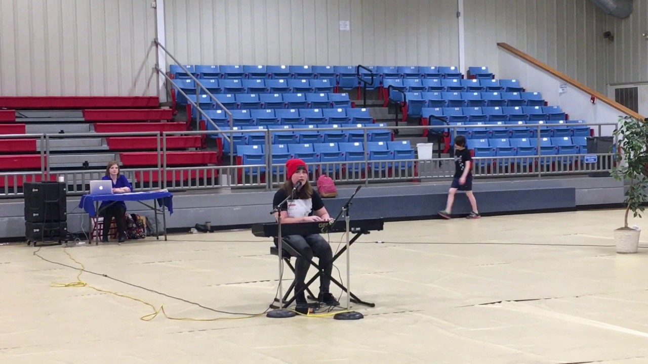 14 year old covers twentyonepilots addict with a pen