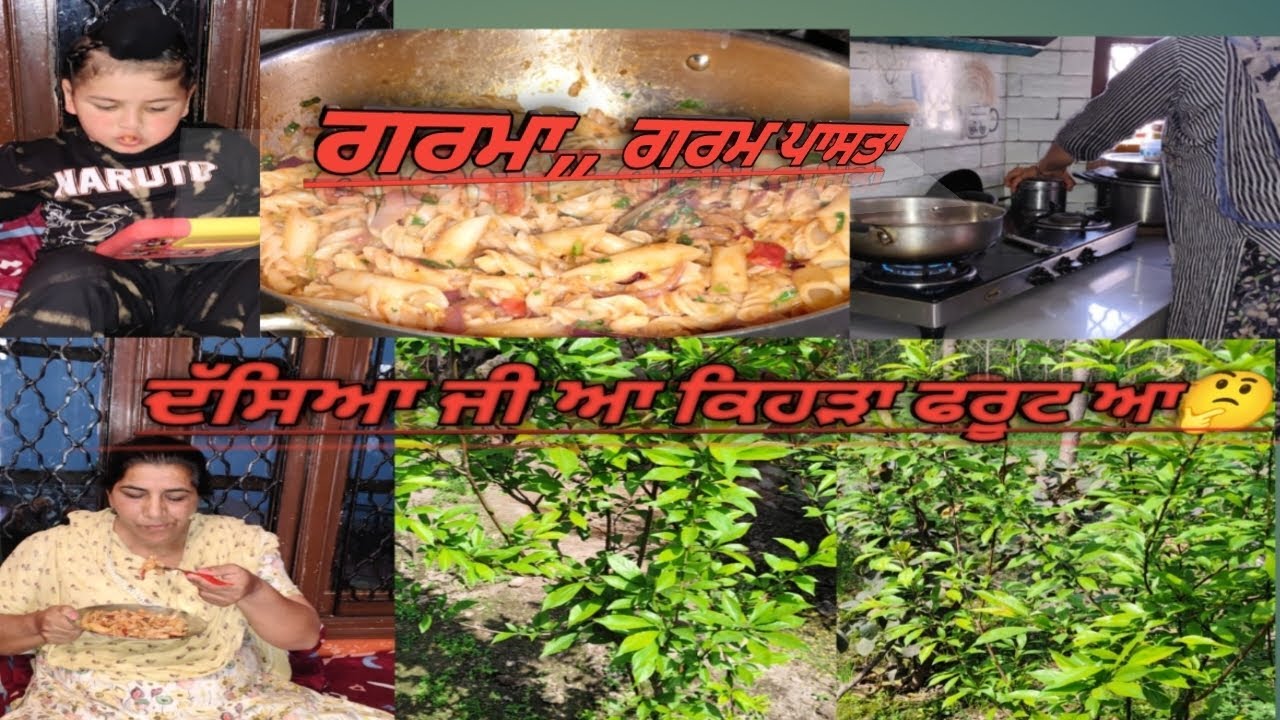 ਅੱਜ ਤਾਂ yummy yummy ਪਾਸਤੇ ਨਾਲ ਹੋਈ ਪੇਕੇ ਘਰ ਸੇਵਾ 🤗# village lifestyle# by Parmbains 7995 new vlog