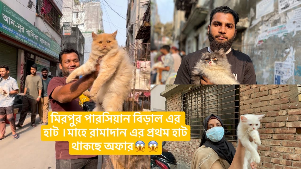 মিরপুর-১ বিড়াল এর হাট। রমজান এর প্রথম হাট পুরো জমজমাট। থাকছে বিশাল অফার । ২০-০২-২০২৬ @Saiful_Drz 