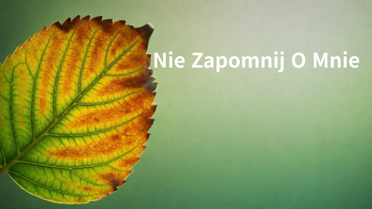 Nie Zapomnij O Mnie