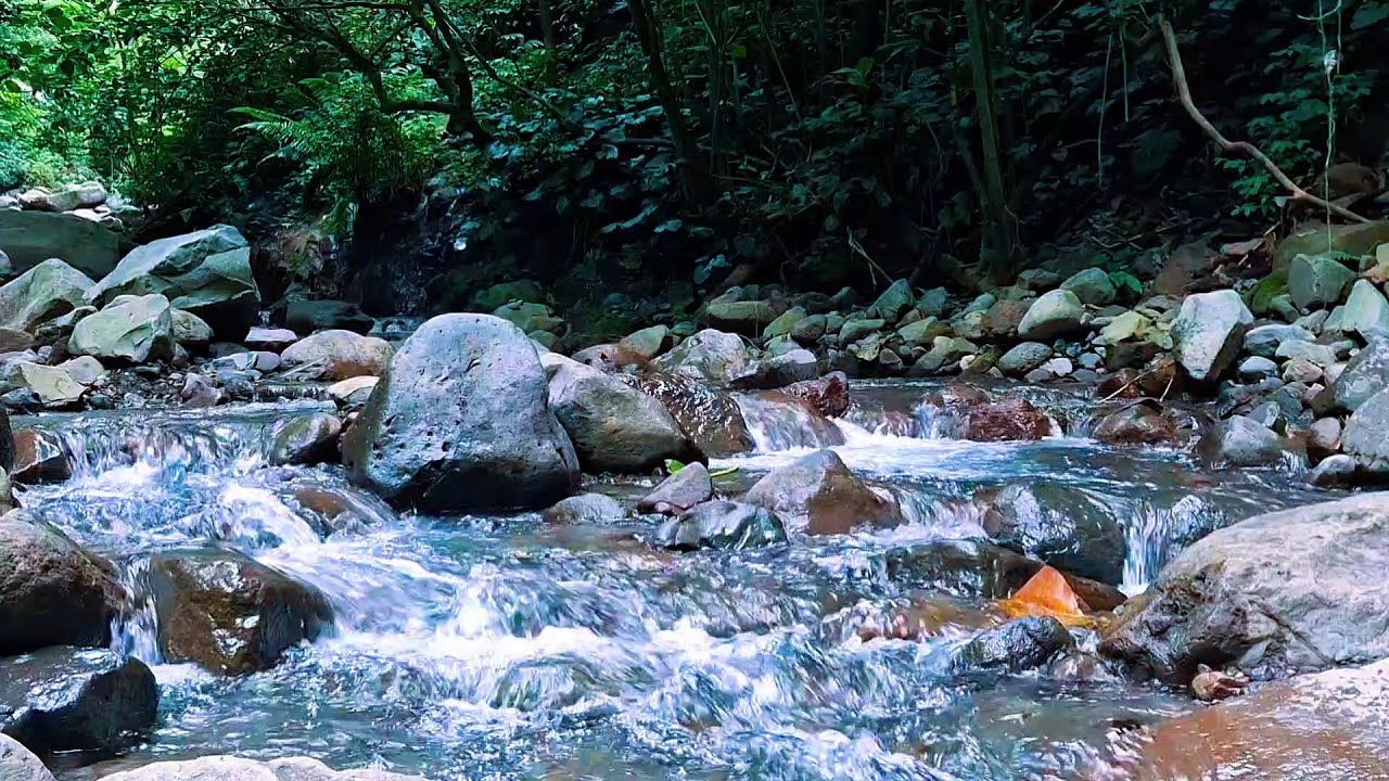 Calm River Sounds for Restful Nights