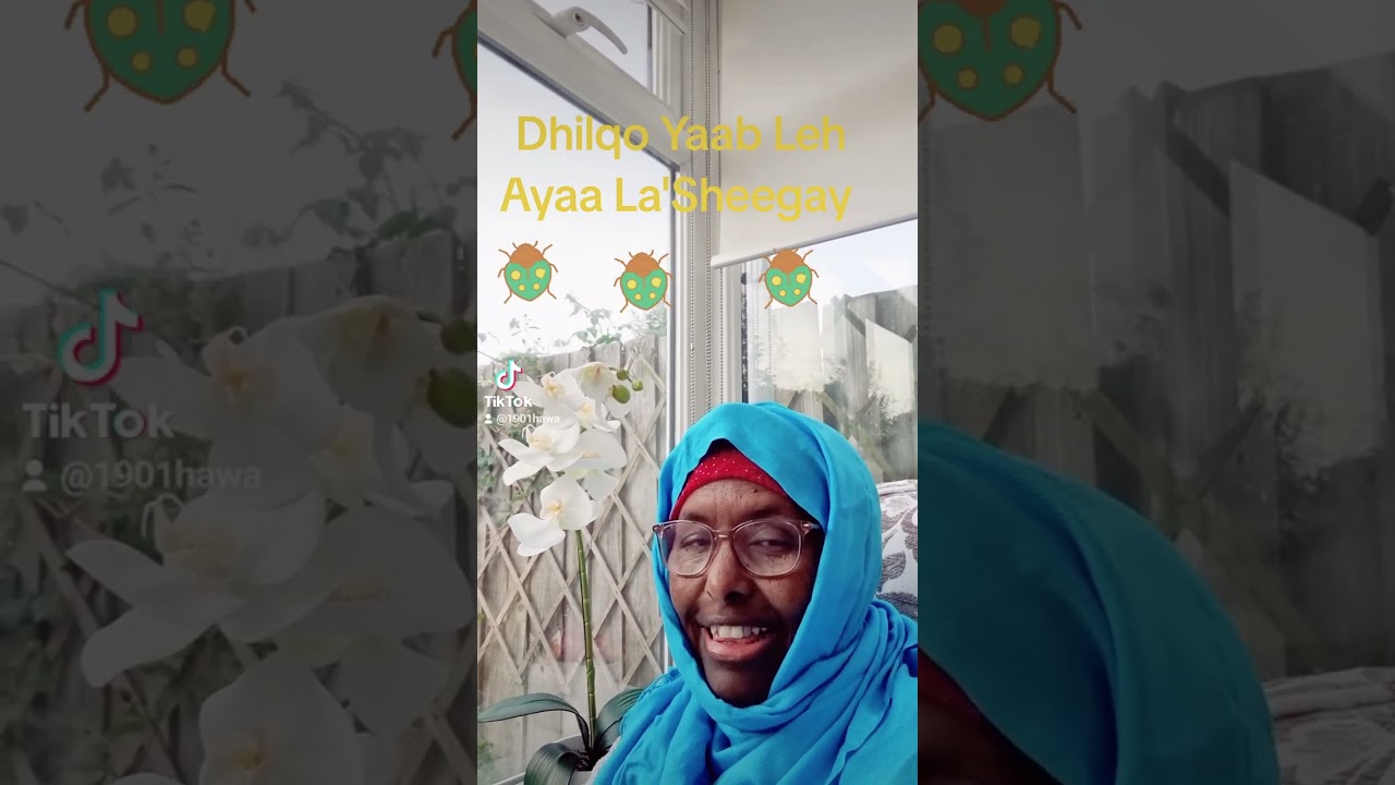 Dhilqahii ama Dukhaanka waa soo batay sidii aad isaga daafici laheyd ayaan ka hadlayaa