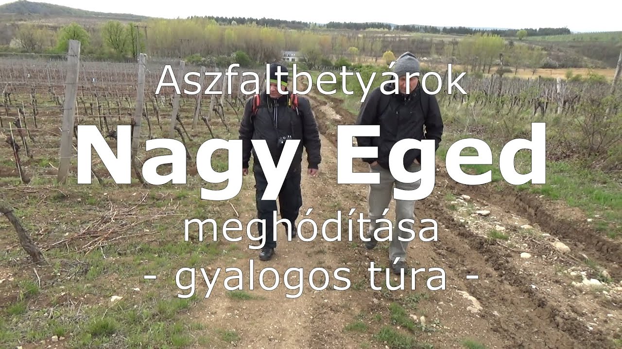 Nagy-Eged hegyi kir&aacute;ndul&aacute;s | 2022.04.18. | Eger
