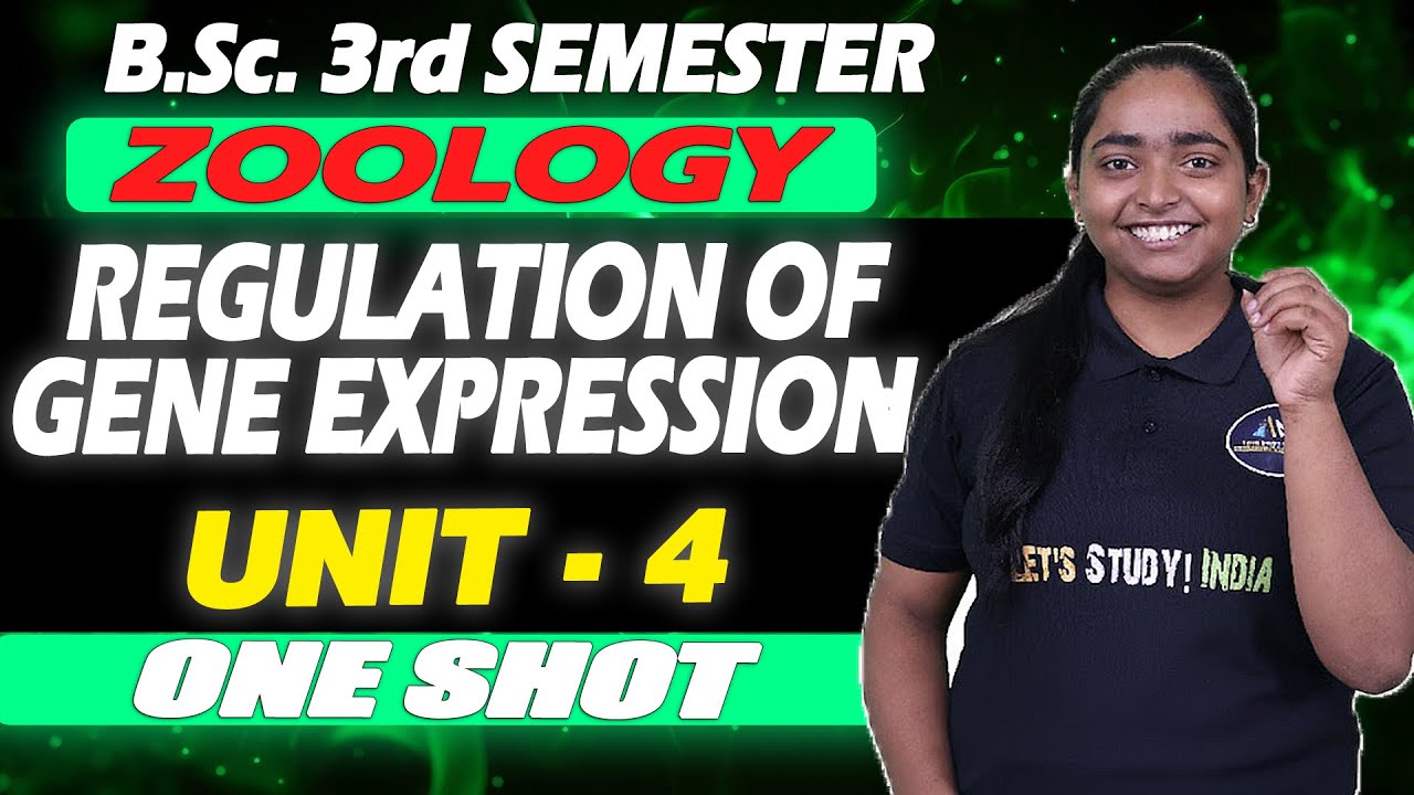 REGULATION OF GENE EXPRESSION B.Sc. 3RD SEM ZOOLOGY #bsczoology #bscbio #bscnotes #zoology