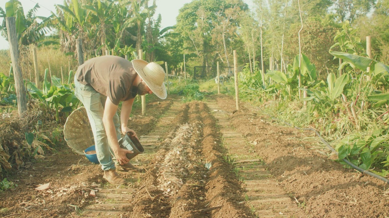 Um novo design para a horta agroflorestal, o canteiro ondulado!