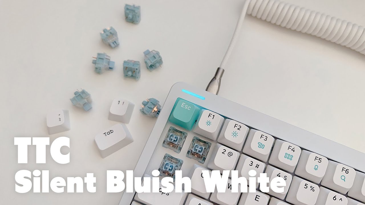 🫧 보글보글, 서걱거리는 느낌이라는 스위치 | TTC Silent Bluish White | 저월백 | Typing Sound | 무접점과 비교