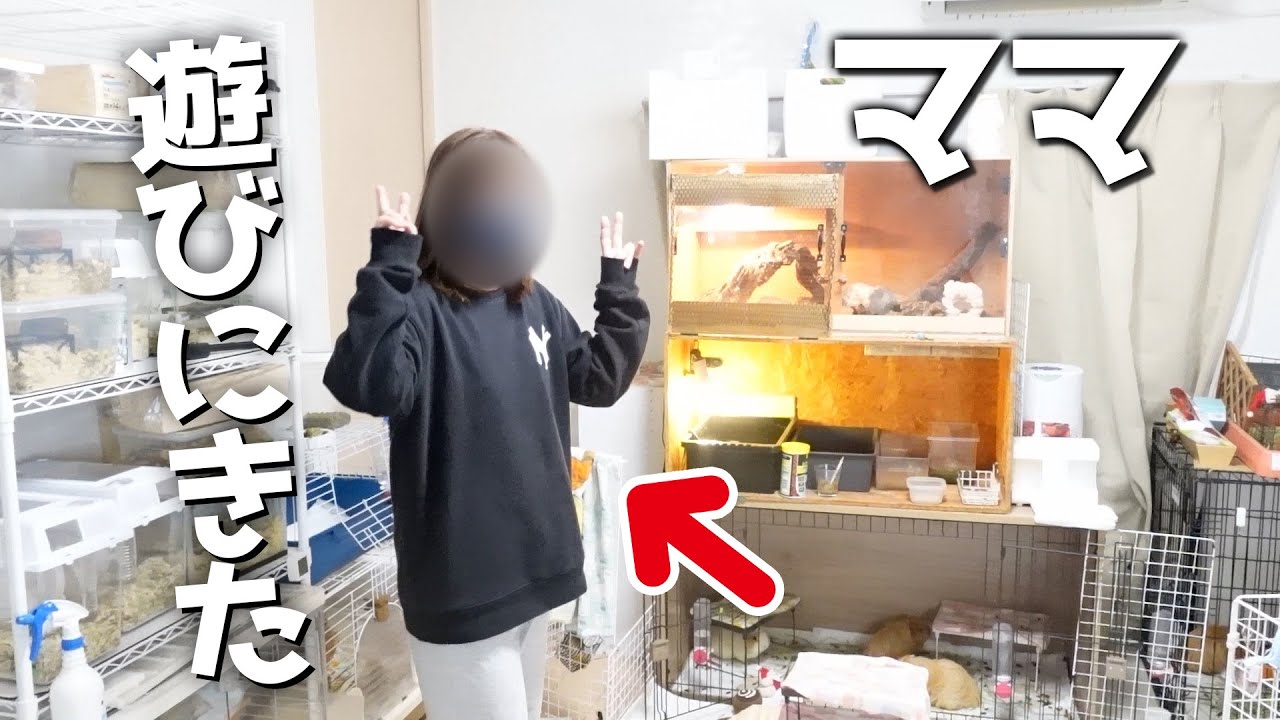生き物大好き会社員の育ての親が遊びにきましたｗ