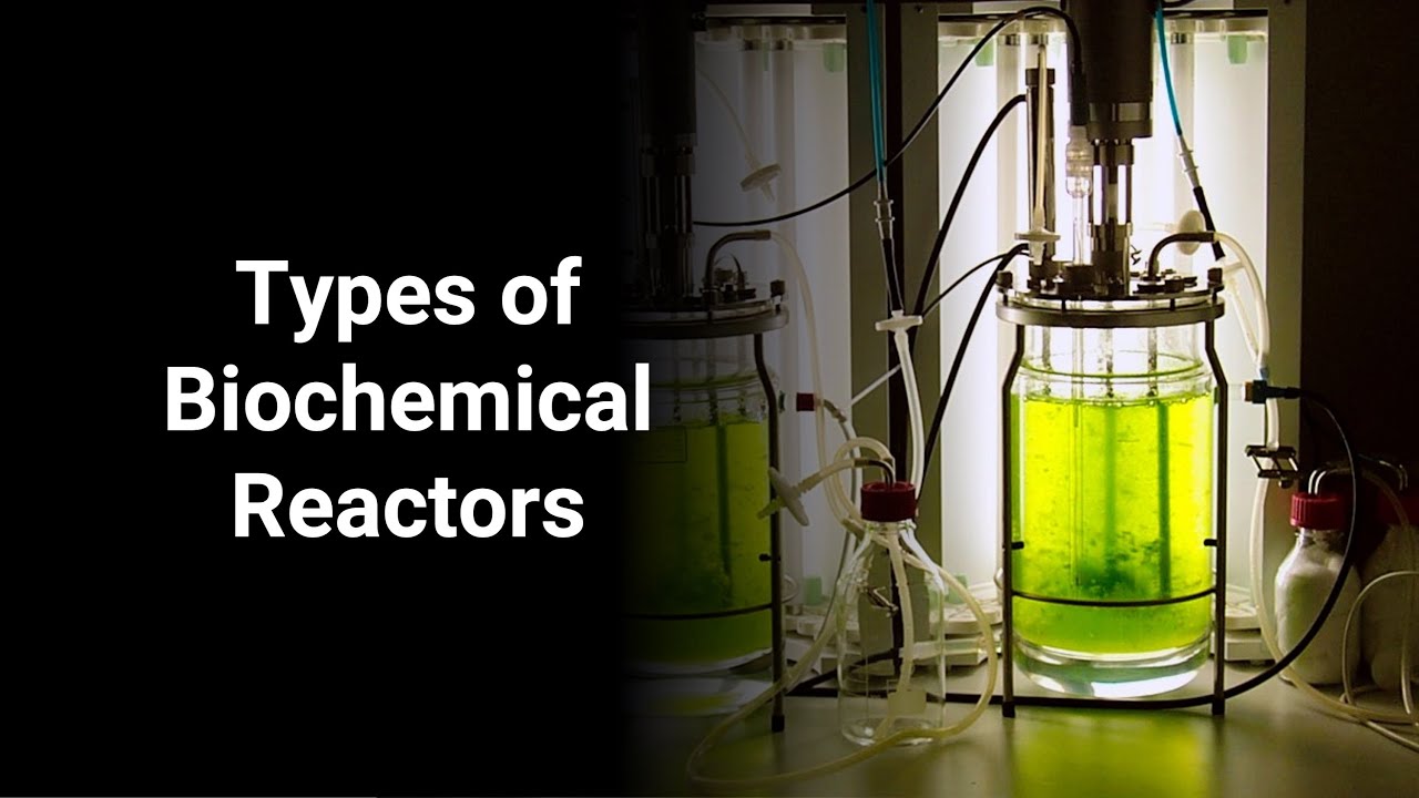 Types of Biochemical Reactors [Chemical Reaction Engineering]