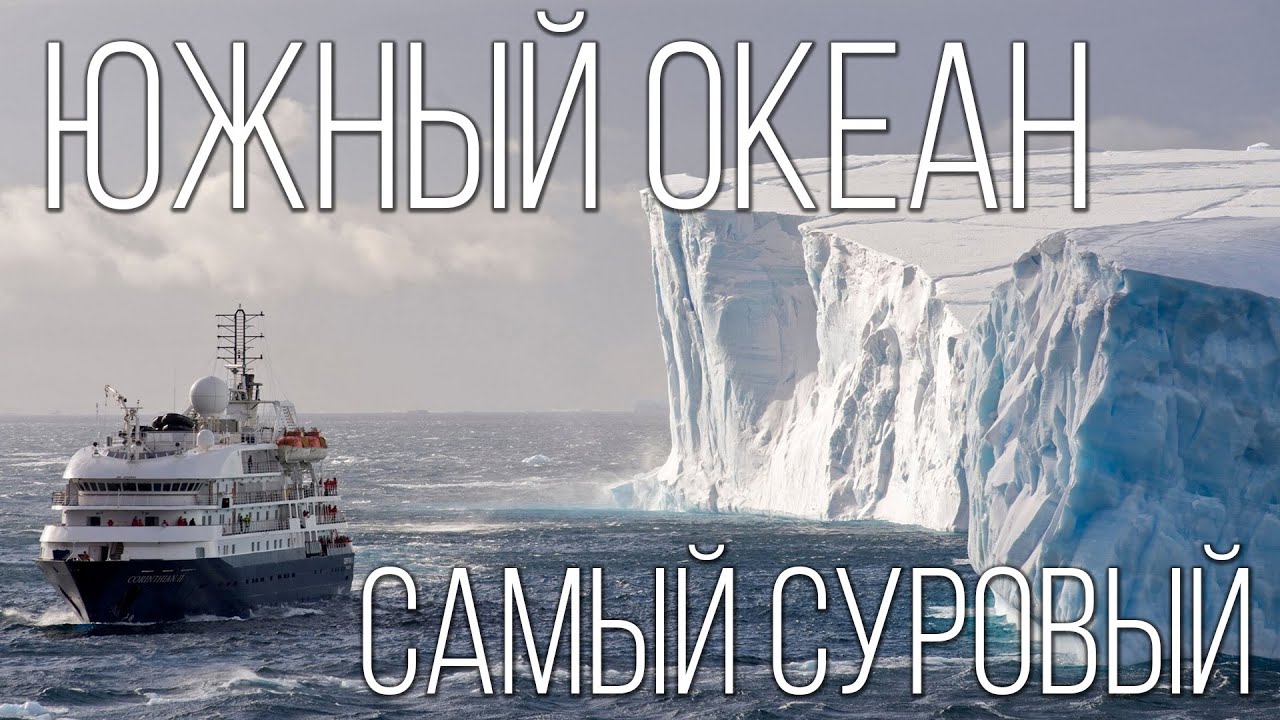 Южный Океан: Самый Молодой и Суровый  | Интересные факты про Южный океан