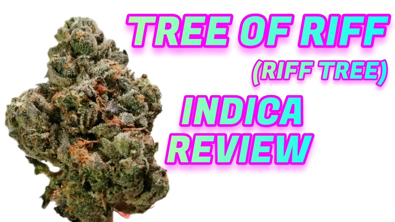Tree of Riff (Riff Tree) | Indica | Weed Review 
