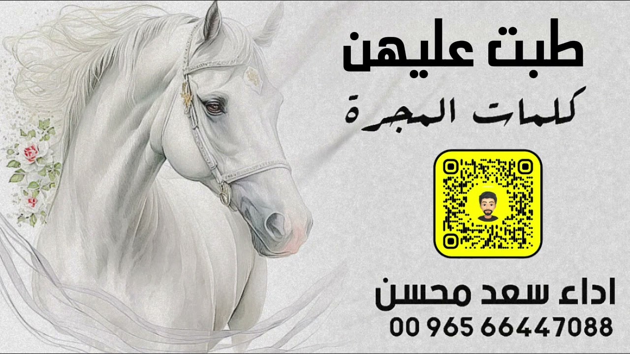 شيلة : طبت عليهن - سعد محسن ( حصرياً ) 2024