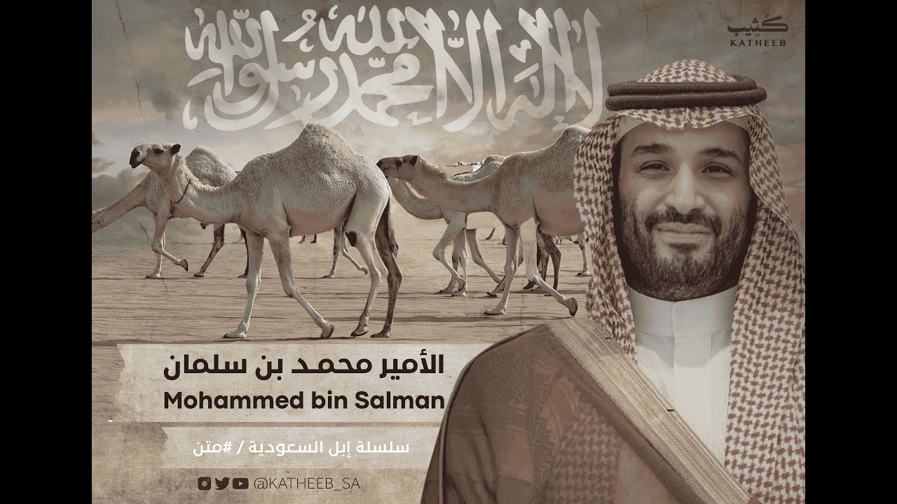 سلسلة الإبل السعودية | ولي العهد الأمير/ محمد بن سلمان | متن