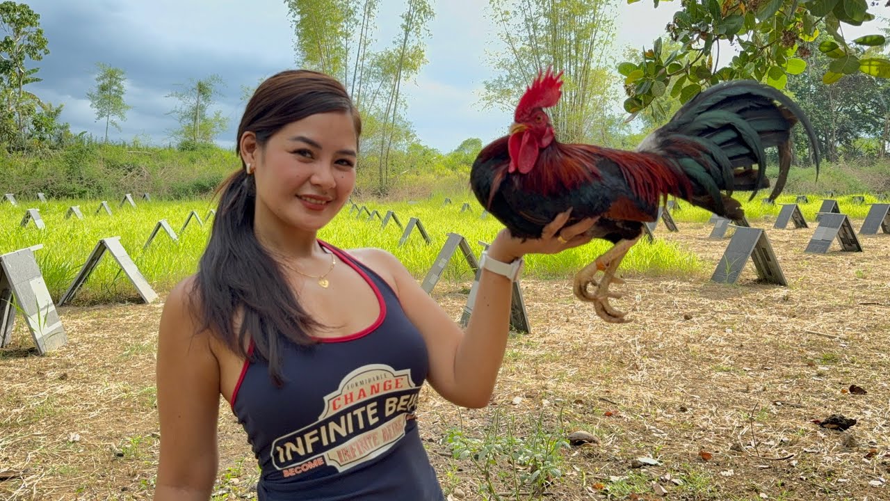 Bagong Materyales sa aking Breeding || Claret & Gull