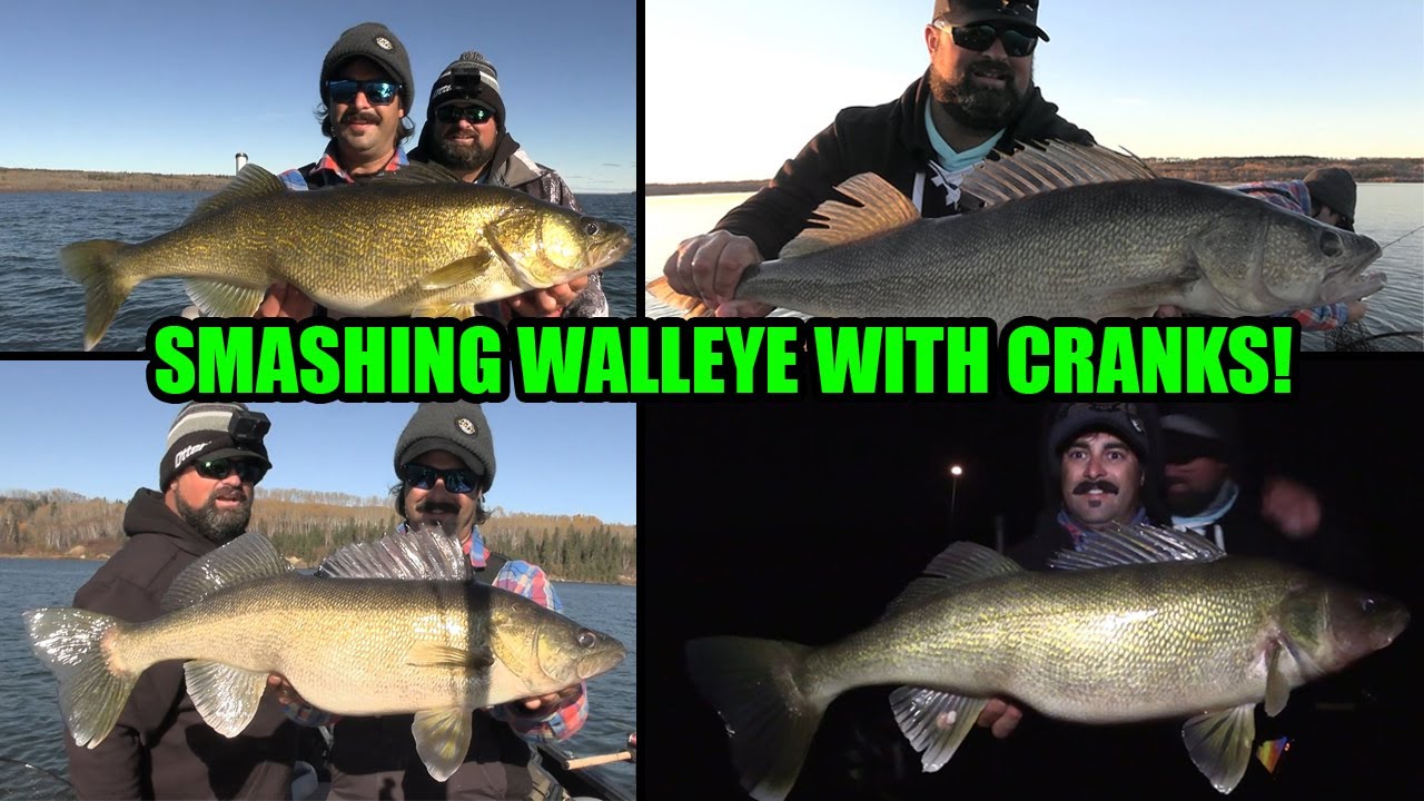 Pulling Crankbaits for Walleye! | Smashing Walleye!!