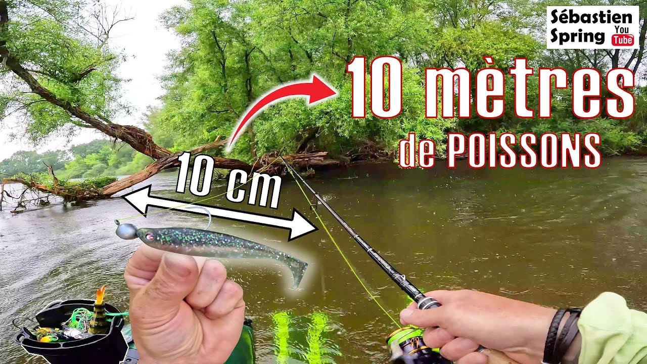 On pêche 10 MÈTRES de POISSONS avec un PETIT leurre de 10 cm !!!